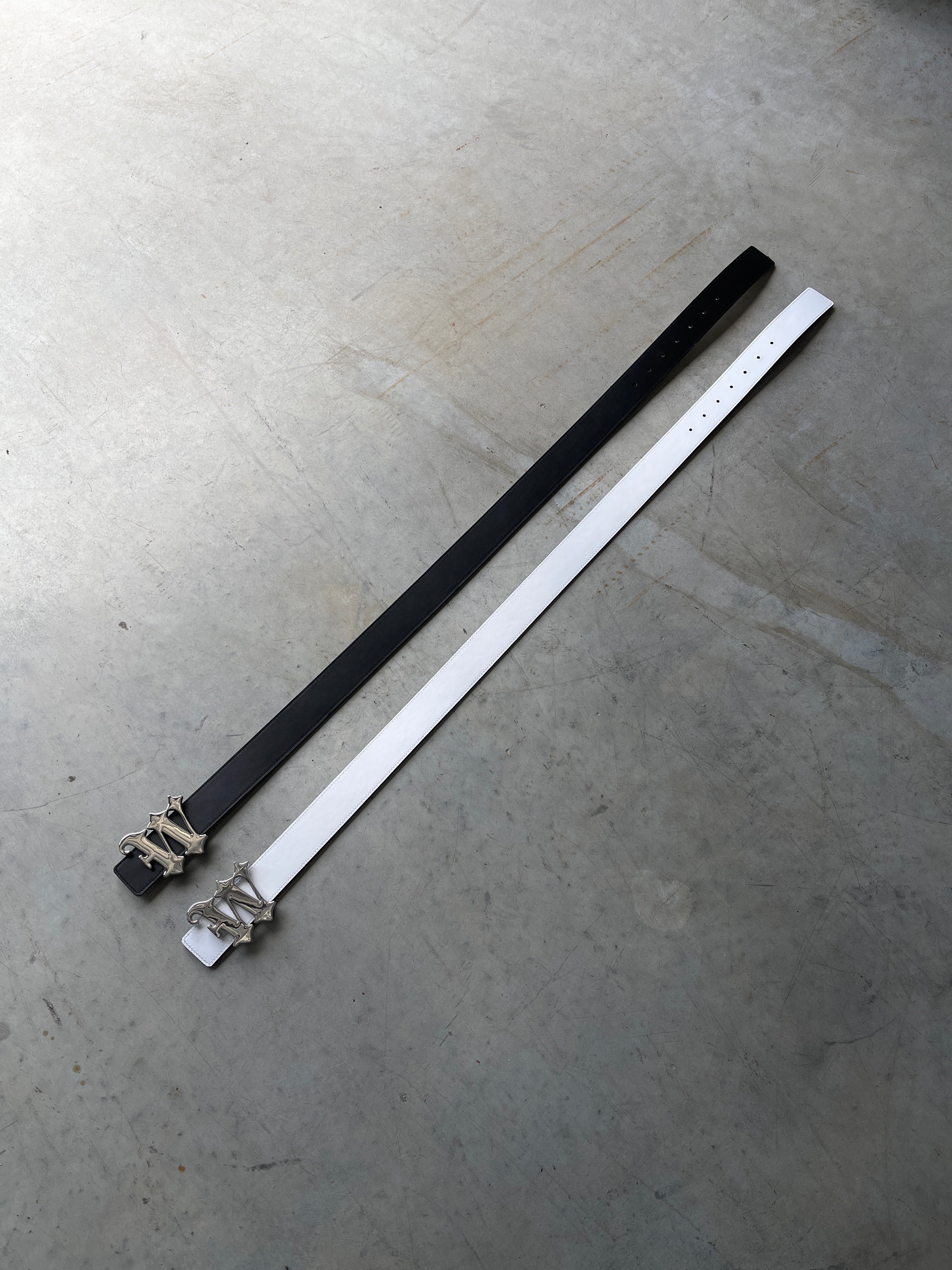 WASTED POTENTIAL REVERSIBLE BELT