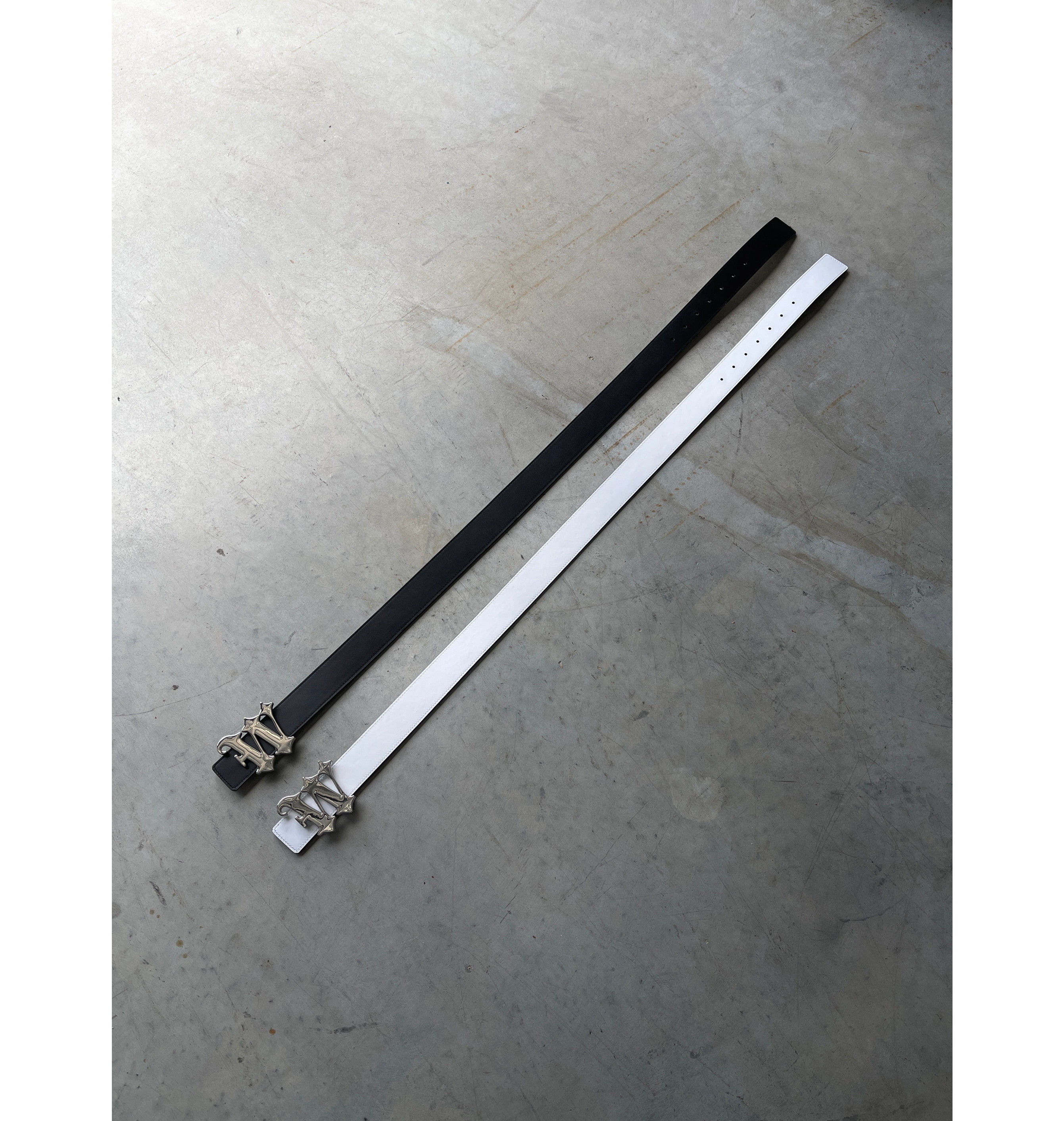 WASTED POTENTIAL REVERSIBLE BELT